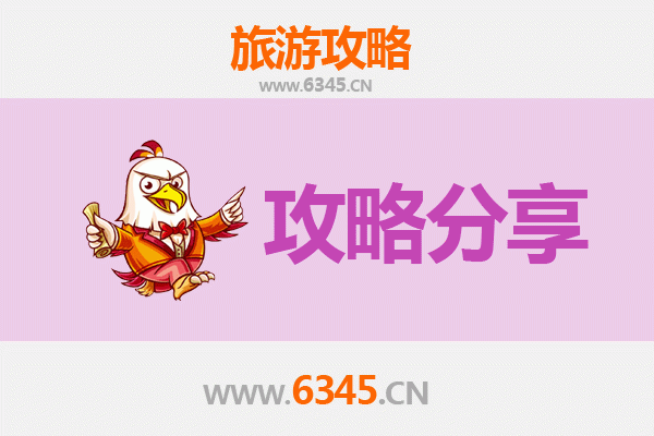 阿拉尔青松路街道旅游攻略：跟团与自由行深度对比